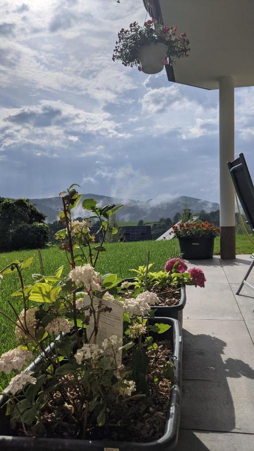 Apartmán Club Dres Bockau Exteriér fotografie
